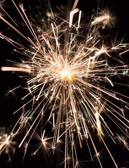 Ihr Wunsch geht in Erfüllung - Traumhaus in Castrop Rauxel - Castrop-Rauxel