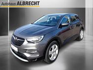 Opel Grandland X, Innovation, Jahr 2019 - Brandenburg (Havel)