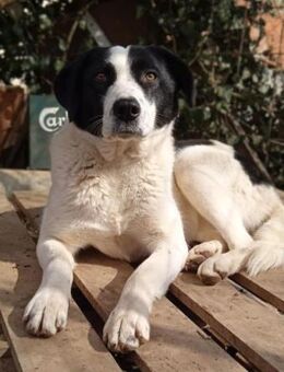 Alice-Enna-fröhlich + etwas eigensinnig - Mettmann