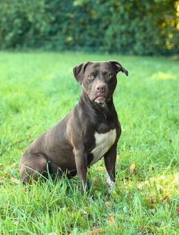 Ronja - ist ausgeglichen - Löwenberger Land