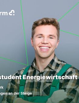 Werkstudent Energiewirtschaft (w/m/d) - Geislingen (Steige)