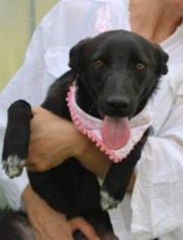 Zauberhafte Lynn sucht Zuhause - München