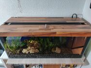 Aquarium 300l komplett - Roßleben