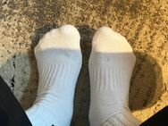 Socken mit Persönlichkeit – Für Sammler und Genießer - Frankfurt (Main)