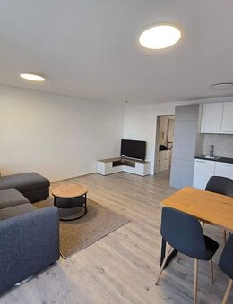 möblierte 2-Zimmer-Wohnung in Bad Friedrichshall zu vermieten - Bad Friedrichshall