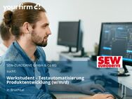 Werkstudent - Testautomatisierung Produktentwicklung (w/m/d) - Bruchsal