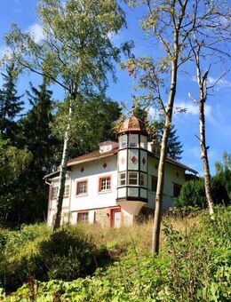 Waldschlösschen in ruhiger Alleinlage auf 4,5 ha zu verkaufen - Leupoldsgrün