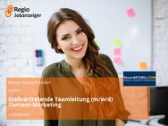 Stellvertretende Teamleitung (m/w/d) Content-Marketing - Koblenz