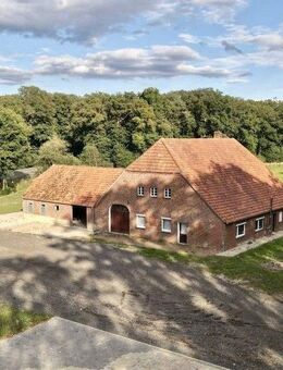 Ländliches Anwesen mit großem Grundstück in Holdorf - Holdorf (Niedersachsen)