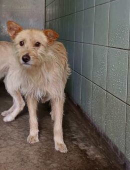 JOHNNY 💙 sucht seine Herzensmenschen - Fahrenzhausen