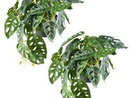 Kunstpflanze Monstera adesonii, Creativ green, Höhe 24 cm, mit naturgetreuem Blattwerk