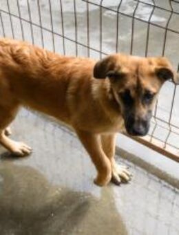 Adina buhlt um deine Aufmerksamkeit - München