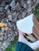 Brennholz Buche 1 RM / 110€ in 65326