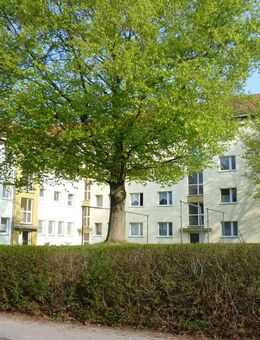 Gemütliche Wohnung für eine Person - Ratzeburg