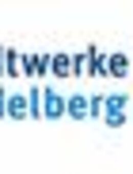 Referent (m/w/i) Portfoliomanagement Fernwärme - Heidelberg