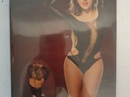 Langarm Body schwarz Gr. S - Espenau