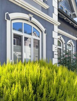 Sanierte Jugendstilvilla im Herzen von Glücksburg - Glücksburg (Ostsee)