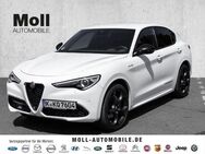 Alfa Romeo Stelvio VELOCE - 2.0T - Q4 - ASSISTENZ - PREMIUM - Aachen