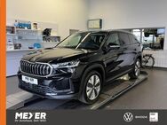 Skoda Kodiaq, 2.0 TDI Selection, Jahr 2024 - Tostedt