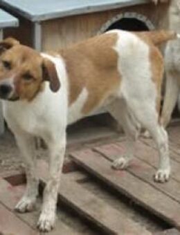 COUNTREY ❤ EILIG! - Langenhagen