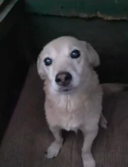 Belka - Mönchengladbach