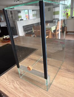 3 x Terrarium doppelbelüftet, Falltür - Böbrach