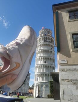 Sneakers ...aus dem Urlaub - Schenefeld (Landkreis Steinburg)