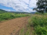 Ruhige Ortsrandlage mit Ausblick in Collenberg - Collenberg