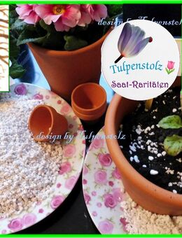 ♥ BIO PERLITE Bodenverbesserer für Aussaaten und gesunde Pflanzen,Tulpenstolz,Tomaten,Bohne,Gurken,Zucchini,Garten, Dünger - Hamburg