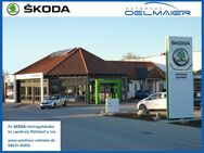 Skoda Karoq, 2.0 TDI Drive 125, Jahr 2020 - Mühldorf (Inn)