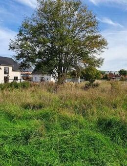 Ihr Haus auf einem der letzen Grundstücke in Gera-Untermhaus oder auf Ihrem eigenen Grundstück - Gera