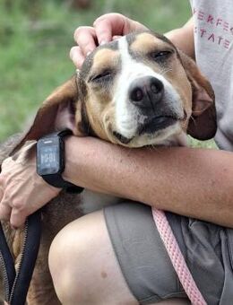 💜Lilli könnte vor Weihnachten einreisen - Würzburg