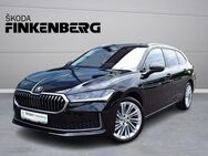 Skoda Superb, 2.0 TDI Combi, Jahr 2024 - Verden (Aller)