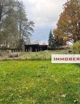 IMMOBERLIN.DE - Charmantes Einfamilienhaus + Nebengelasse auf sehr großem Anwesen in guter ländlicher Infrastruktur - Löwenberger Land