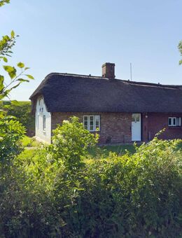 Kleines Doppelhaus unter Reet in Nordseenähe - Halbinsel Nordstrand - Nordstrand
