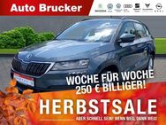 Skoda Karoq Ambition 1.5 TSI ACT+Alu+Navi+Klimaautomatik - Marktredwitz