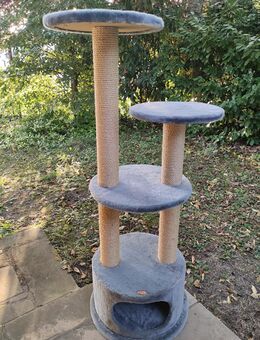 moreCATS - Katzenbaum - Zeil (Main)