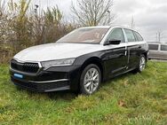 Skoda Octavia, Combi Selection E, Jahr 2024 - Buchholz (Nordheide)