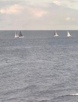 Wir senken den Preis ! - Dorf Mecklenburg