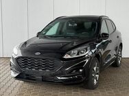 Ford Kuga ST-Line 1.5 Ecoboost 150 PS 6MT Navi / P... - Selent