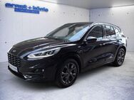 Ford Kuga 1.5 EcoBlue Aut. ST-LINE NAVI+KLIMA+Paket W - Freiburg (Breisgau)