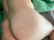 BI Boy bietet sich und seine Hotwife an!TG - Laatzen