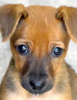 Aero -frech und verspielt- - Oldenburg