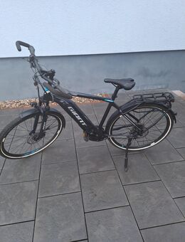 E-Bike Giant Explore - Neustadt (Dosse)