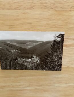Ansichtskarte-AK-650-Gehren-Endorf-Haus Waldfrieden. - Nörvenich