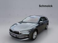 Skoda Octavia, 2.0 TDI Combi Selection, Jahr 2024 - Emmendingen