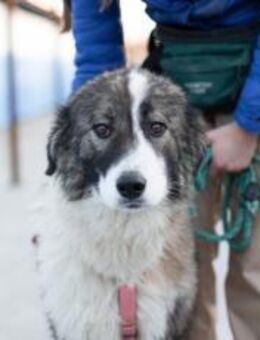 Ilse ist eine wahre Schönheit - München