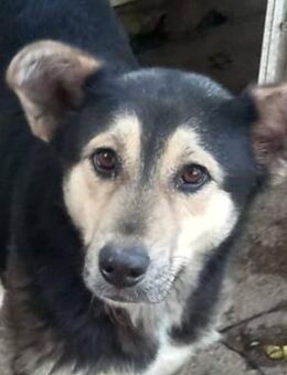 NOUMAYA - freundlich und aktiv - Weiterstadt