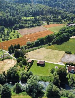 Die Gelegenheit in Starzach - Neubauprojekt - Einfamilienhaus + Grundstück - individuell planbar - Bestpreisgarantie bei Bien-Zenker - Starzach