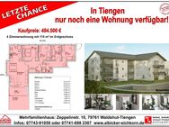 4 Zi. EG mit Terrasse ca. 115 m² - Wohnung 1 - Zeppelinstr. 10, 79761 Waldshut-Tiengen - Neubau - Waldshut-Tiengen